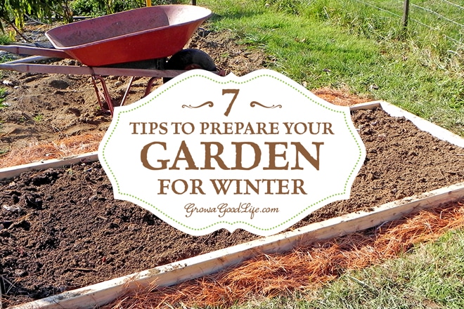 tips for planting a raised vegetable garden