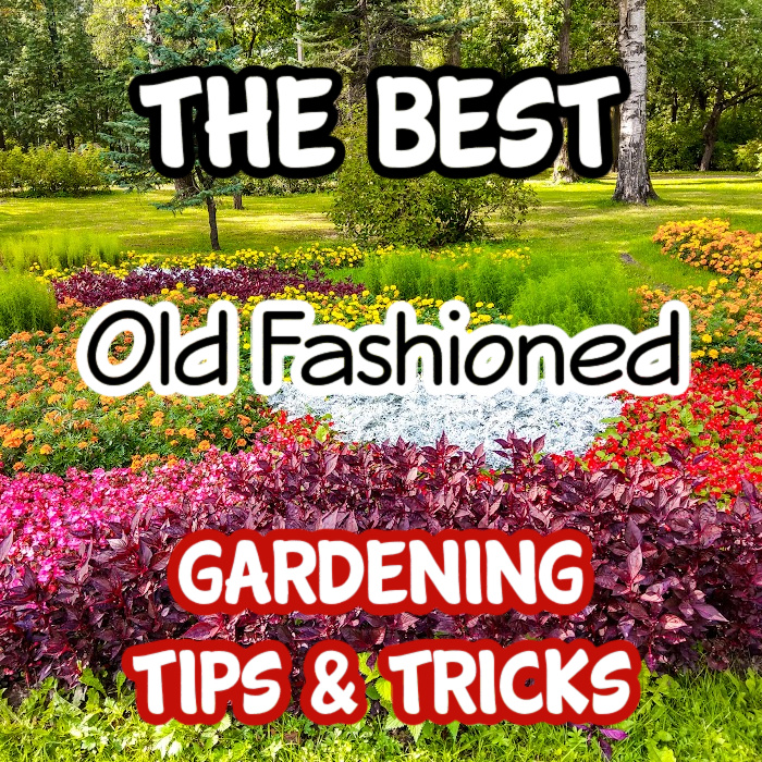 best tips for gardening